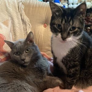 Meet your Posher, Kimberly-ann